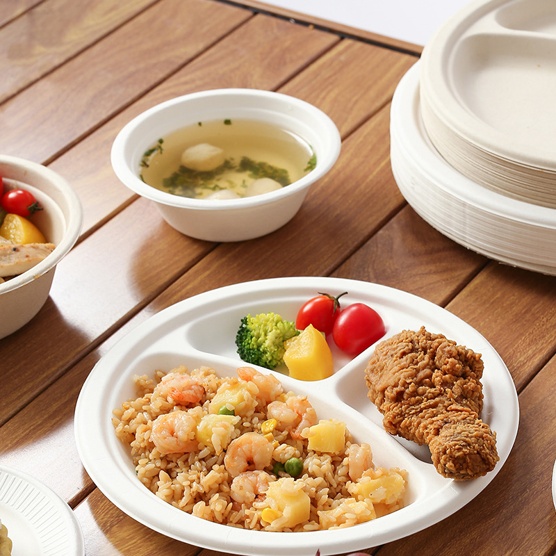 100% Compostable Paper Plates Disposable Sugarcane Plates Eco and Heat Resistant Alternative to Plastic Food Package