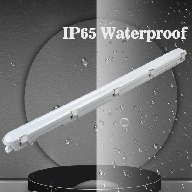 IP65