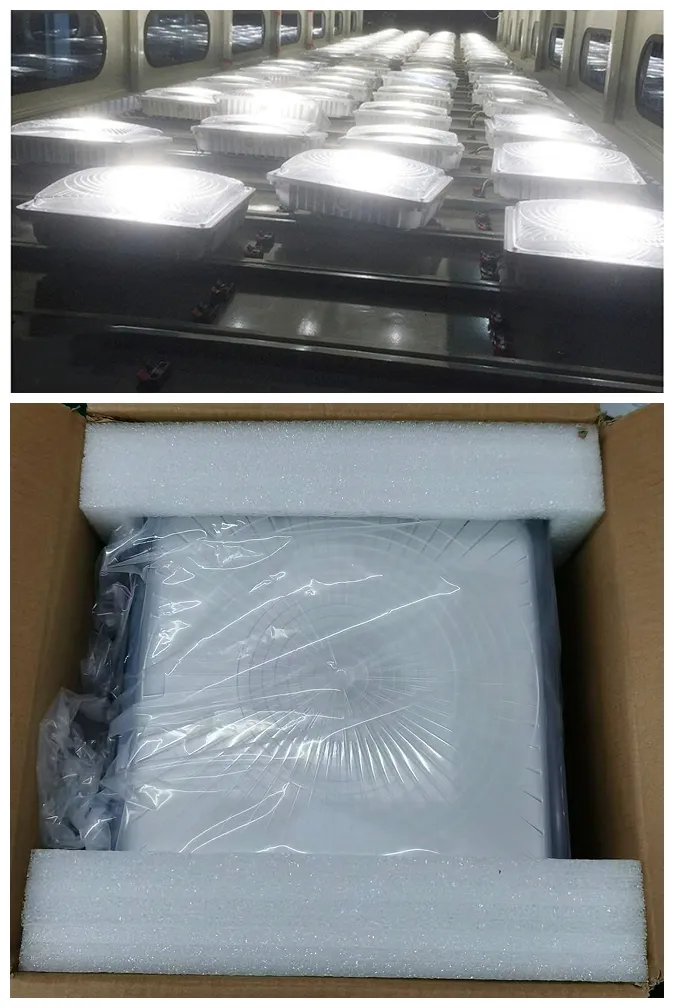 Packaging Details