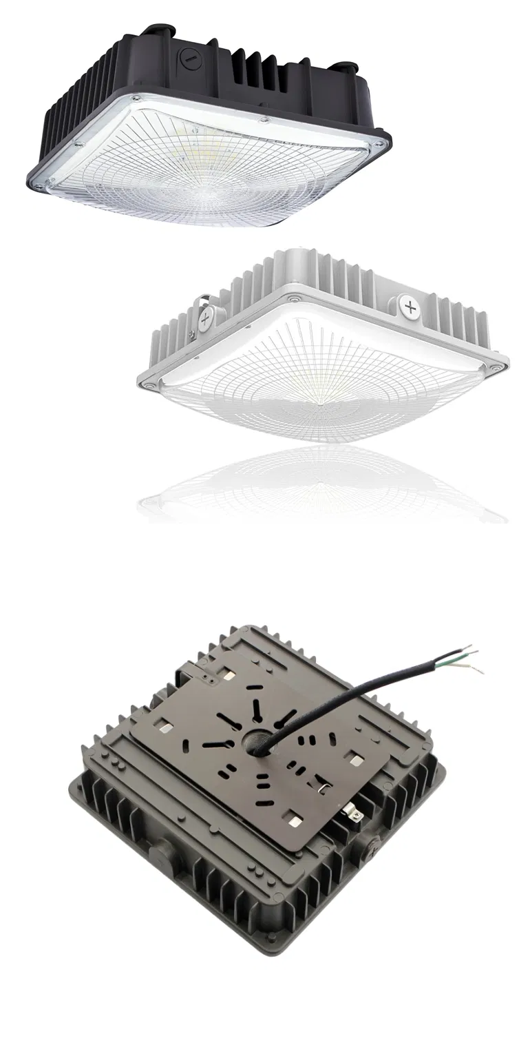 Product Details 2