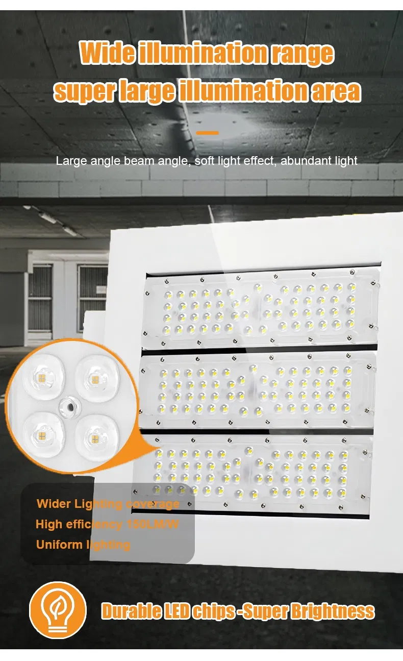 Product Detail 1