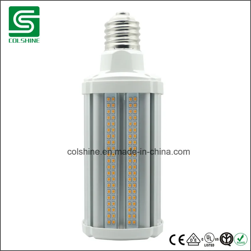 E26 Medium Base Light