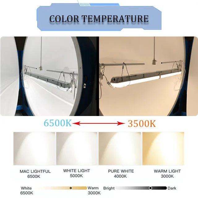 LED Tri-Proof Light 6