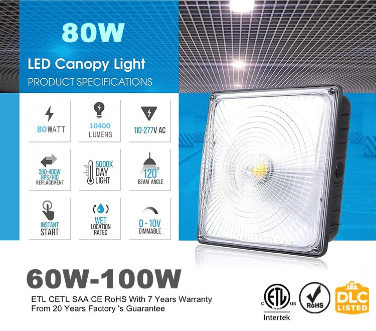 Canopy Light Overview