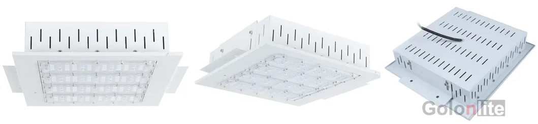 Canopy Light View 1