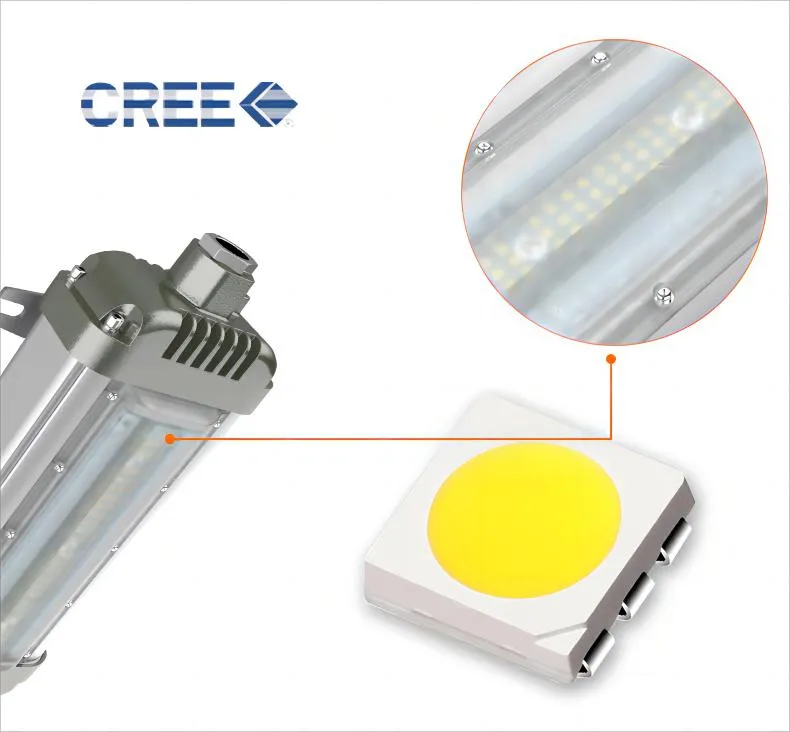 LED Chips