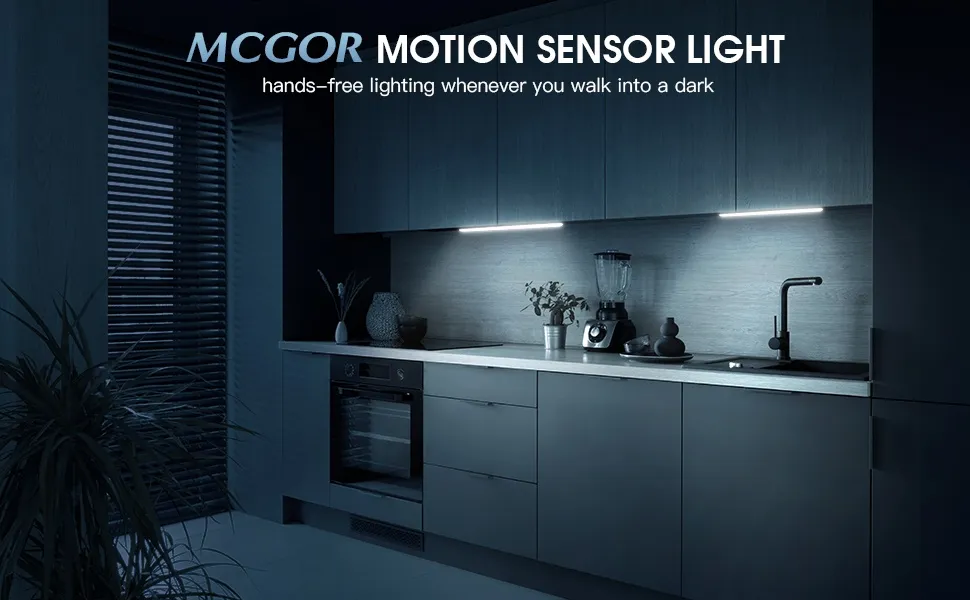 Motion Sensor Light 1