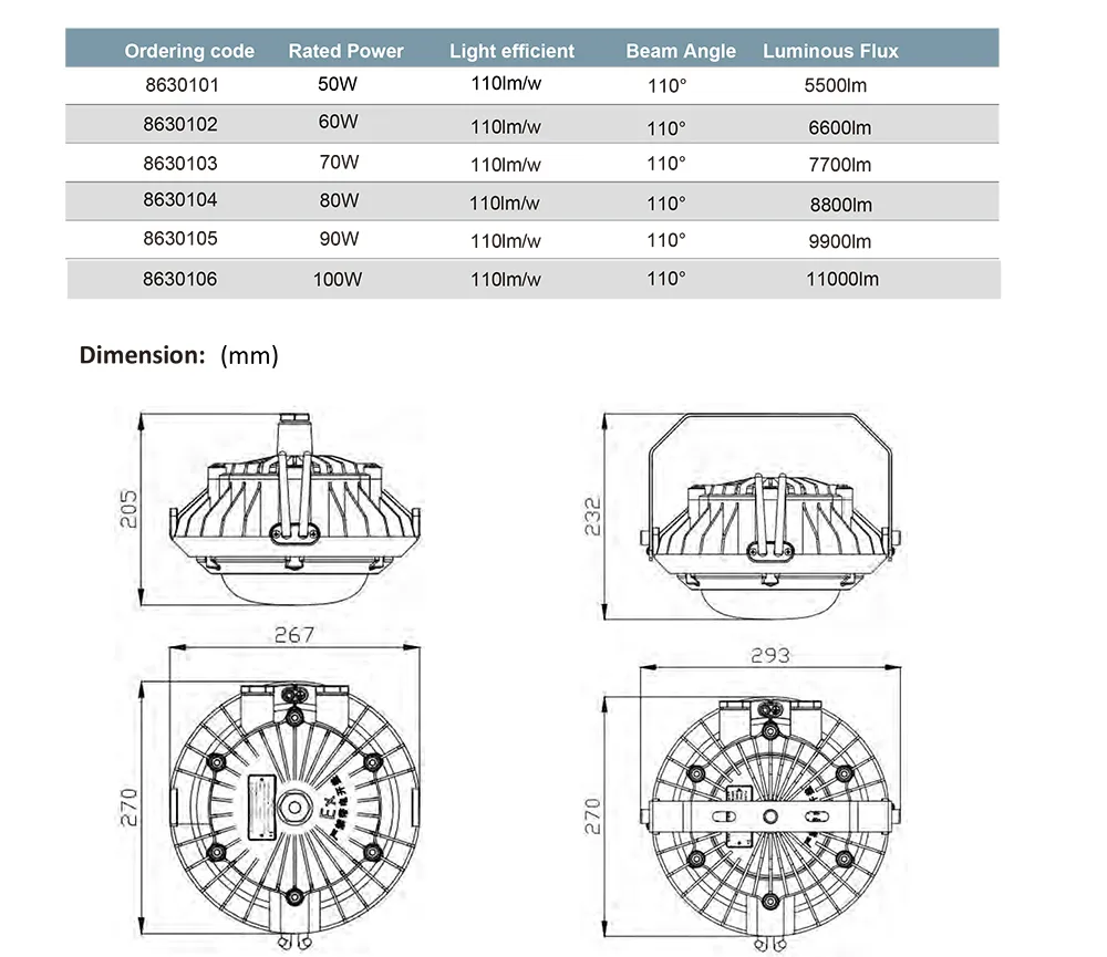 Explosion Proof Mounting