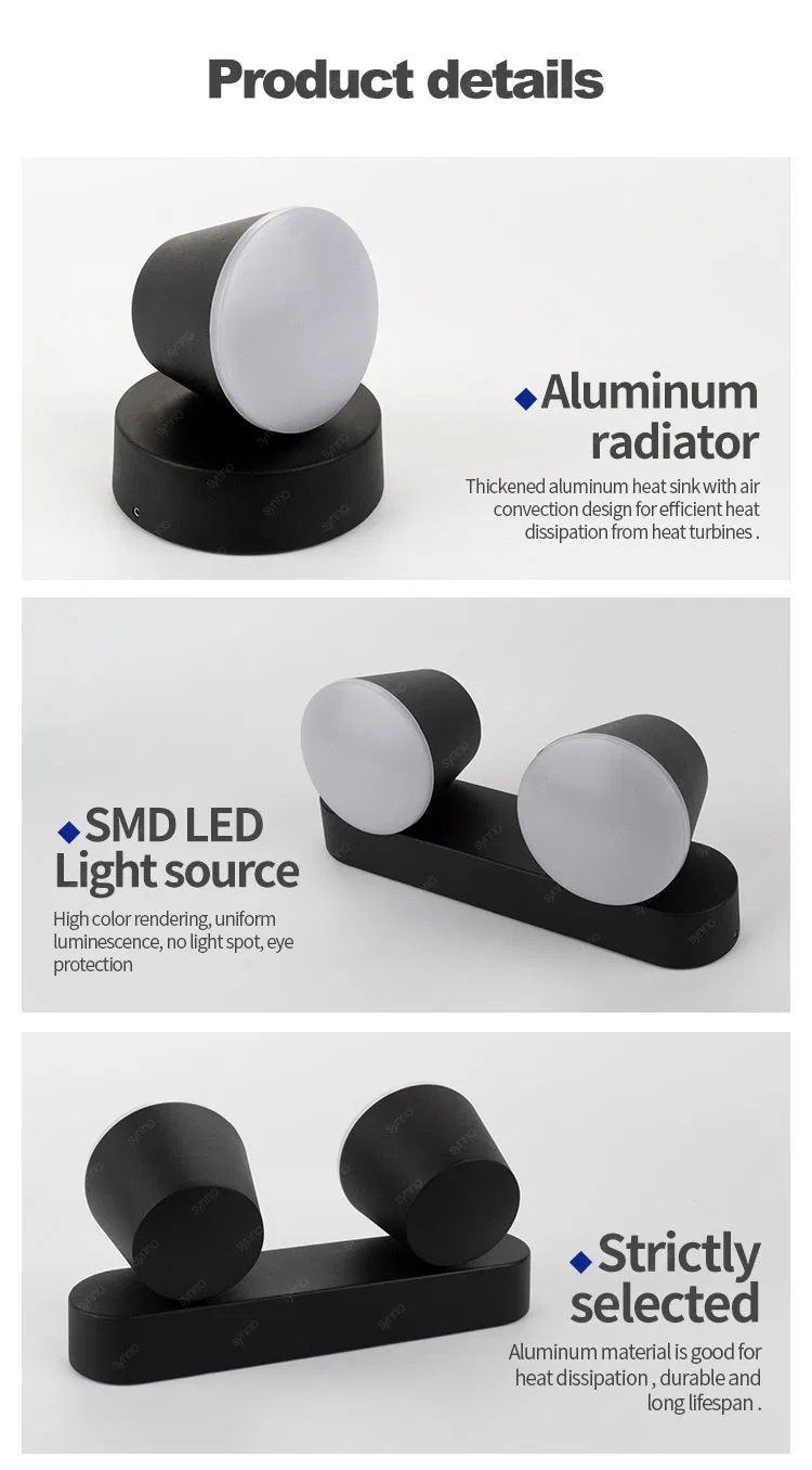 Outdoor Wall Mounted Light