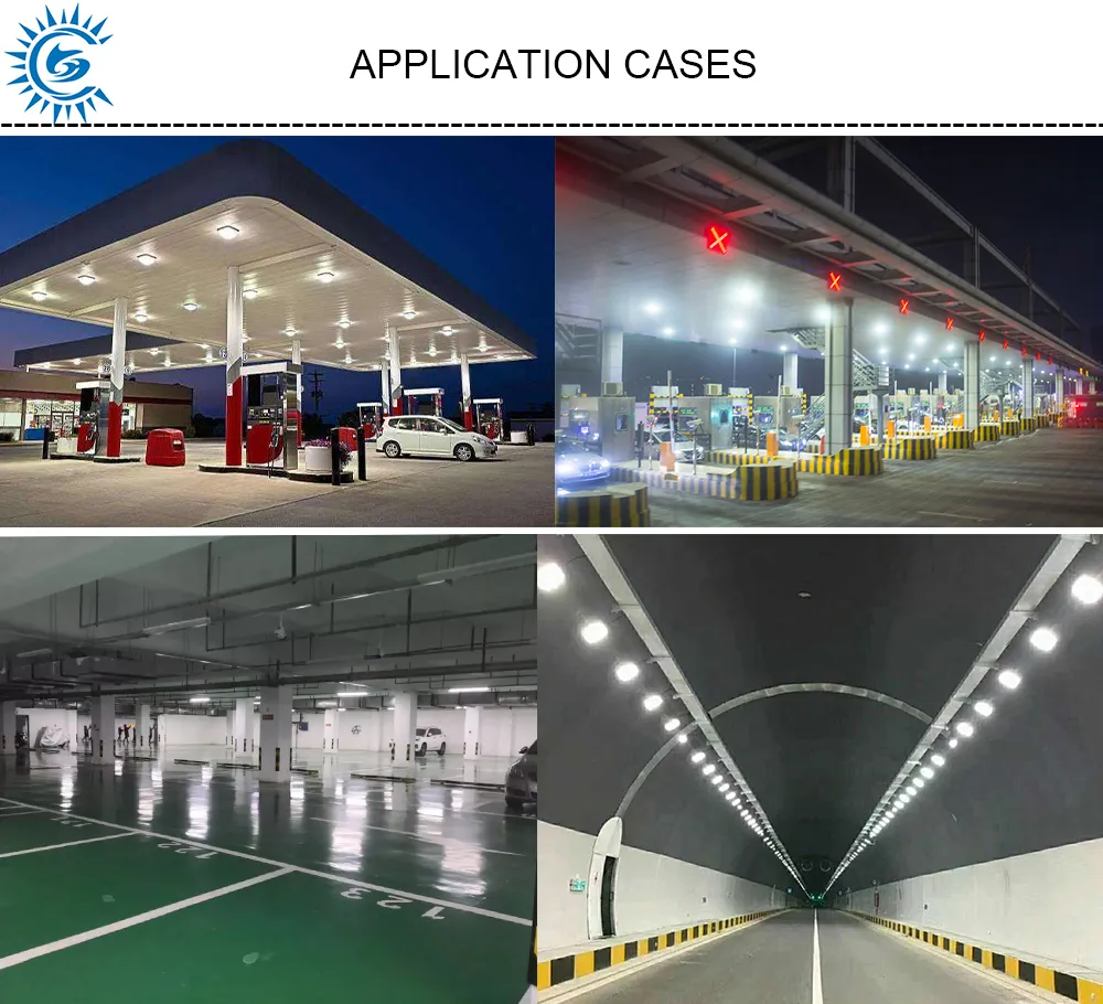 LED Canopy Light 5