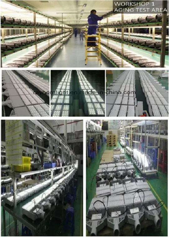 Testing Process