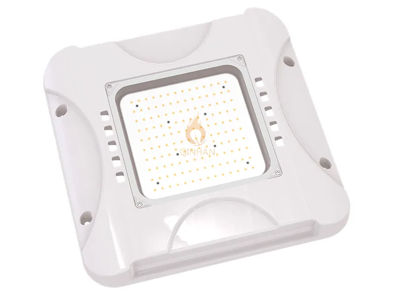 LED Canopy Light View 1