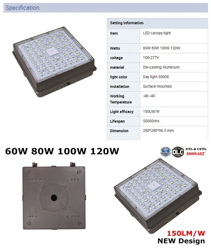 LED Canopy Light Details