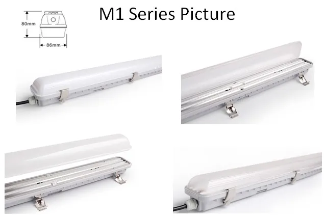 Tri-Proof LED Features