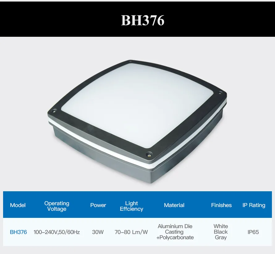 LED Bulkhead (BH-376 Type) Outdoor Light