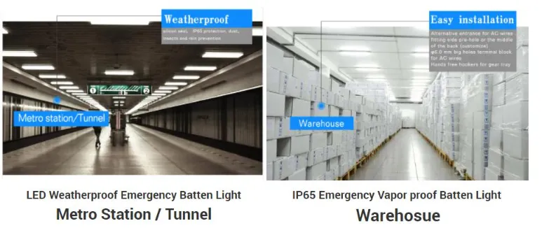 LED Tri-Proof Light 5