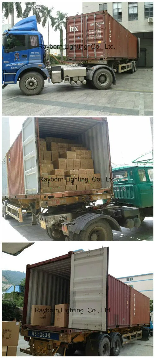 LED Light Packaging