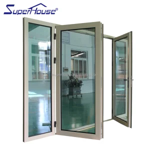 Commercial Double Hinged Door