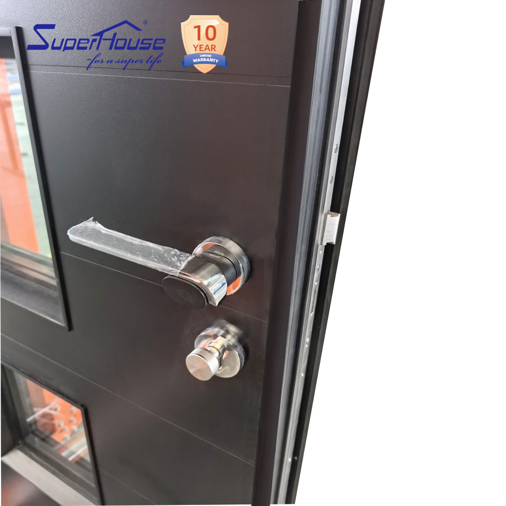 Contemporary Entry Door  Aluminum or Steel Front Door with Double Glass Panel and Custom Color Options