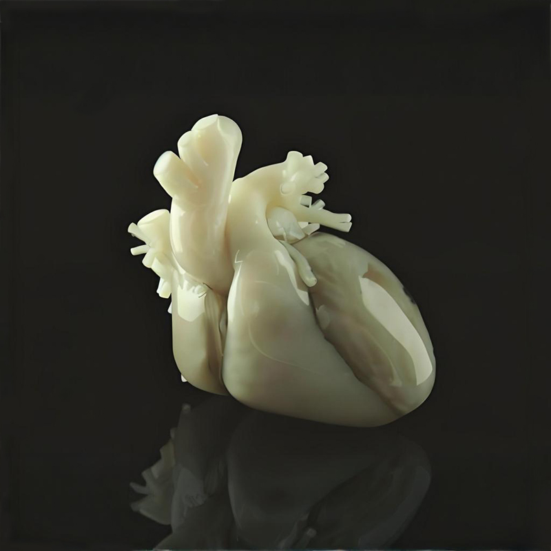 Custom SLA 3D Printing Vacuum Casting Rapid Prototype Service for Medical Model
