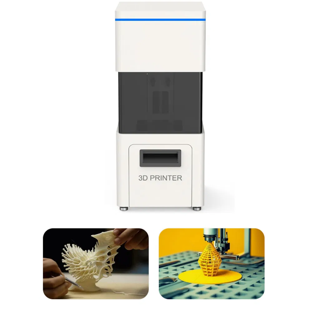 Portable 3D Printer Bone 3D Model Organ 3D Model Dental Crown Dental Bridge Implant Abutment Clinical Medicine Dentistry Clinical-Grade 3D Printing