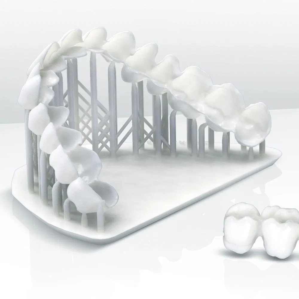 SLA Resin 3D Printing Custom Dental Molds OEM High Quality Orthodontic Models