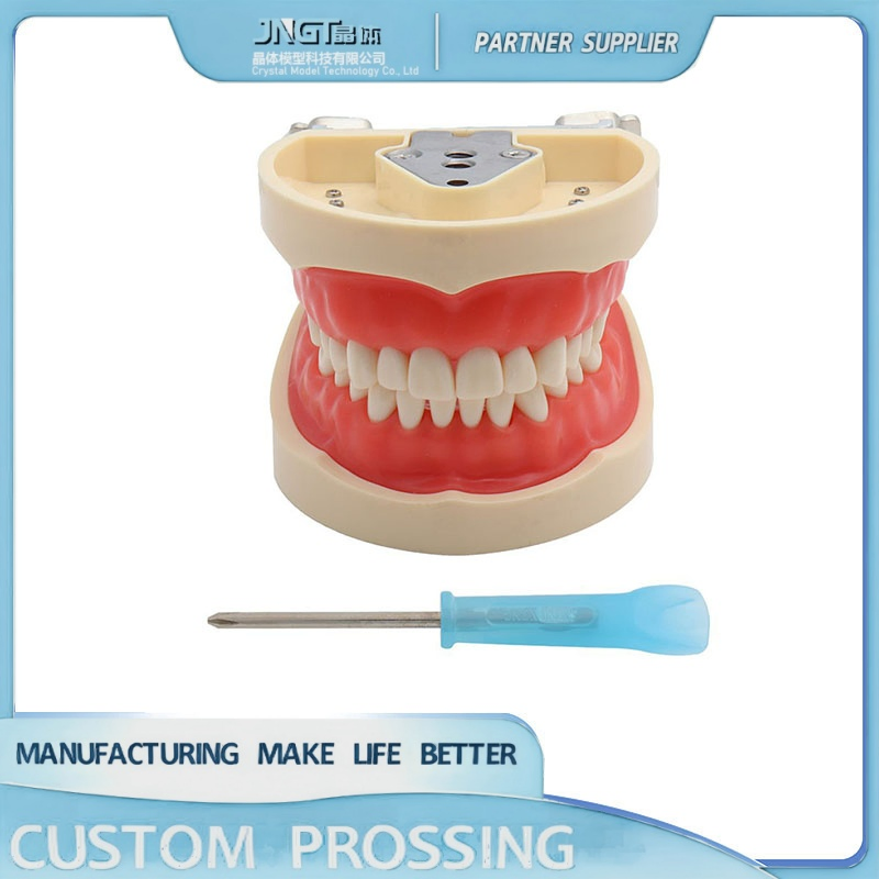 Dental Orthodonic Model Customized Implant Teeth Implanting Guide Look Like Natural Teeth Restore Oral Function Appearance - 3D Tooth 3D Teeth 3D Printing