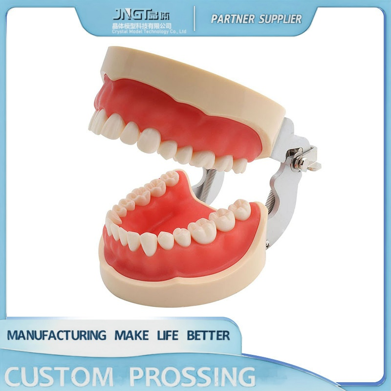 Dental Orthodonic Model Customized Implant Teeth Implanting Guide Look Like Natural Teeth Restore Oral Function Appearance - 3D Tooth 3D Teeth 3D Printing