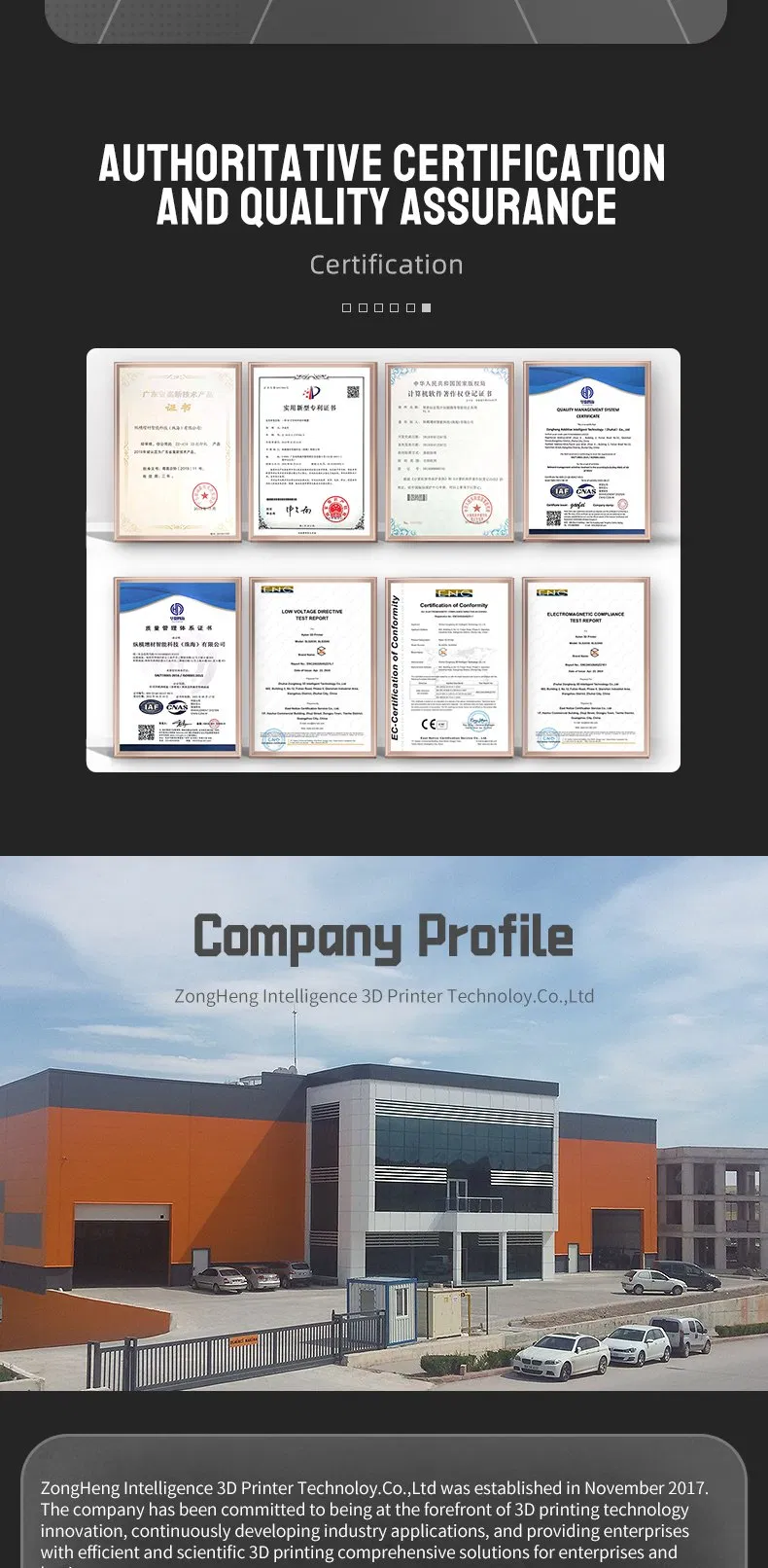 High Precision SLS Printer