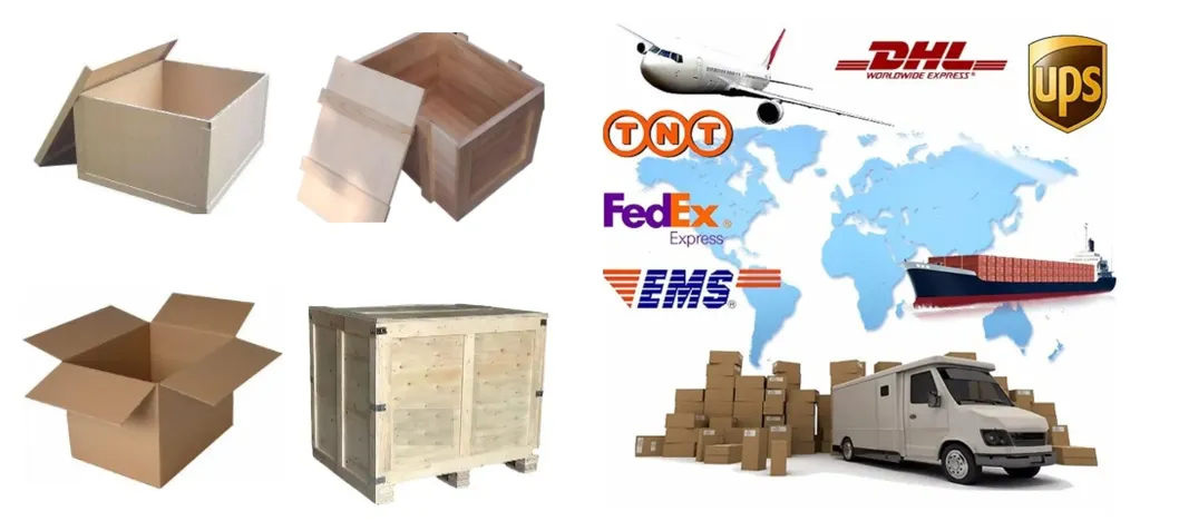 Shipping Logistics