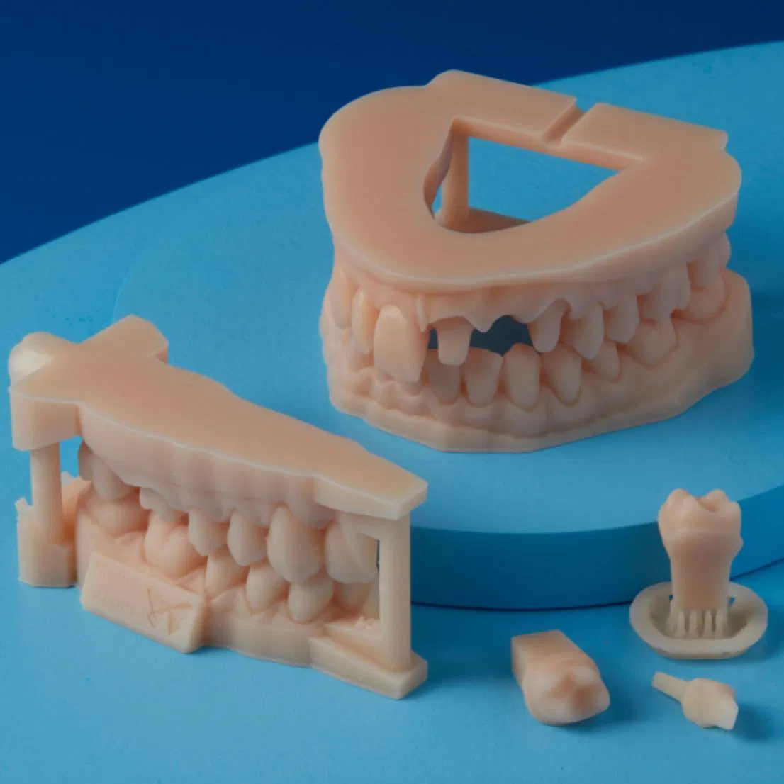 SLA Resin 3D Printing Custom Dental Molds OEM High Quality Orthodontic Models