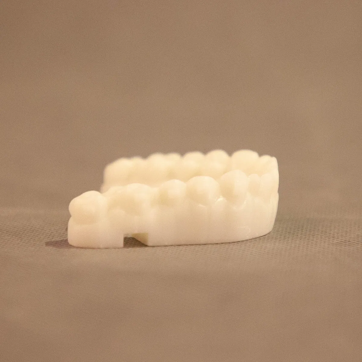 Custom Prototyping and 3D Printing for Dental Models Mass Production
