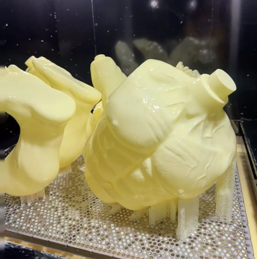 Customized SLA 3D Printing Resin Functional 3D Model