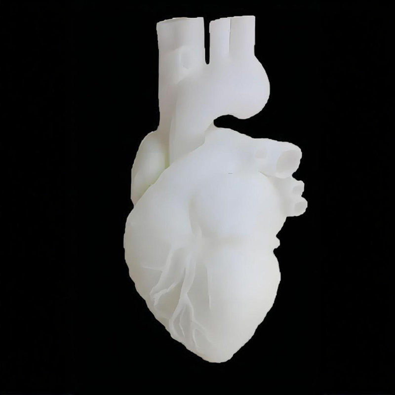 Custom SLA 3D Printing Vacuum Casting Rapid Prototype Service for Medical Model