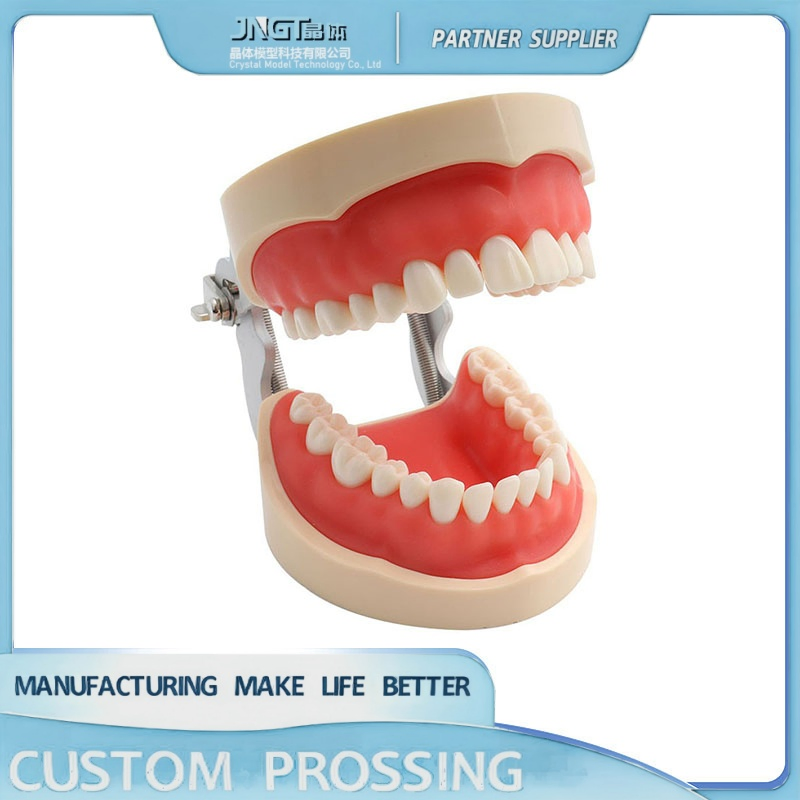 Dental Orthodonic Model Customized Implant Teeth Implanting Guide Look Like Natural Teeth Restore Oral Function Appearance - 3D Tooth 3D Teeth 3D Printing