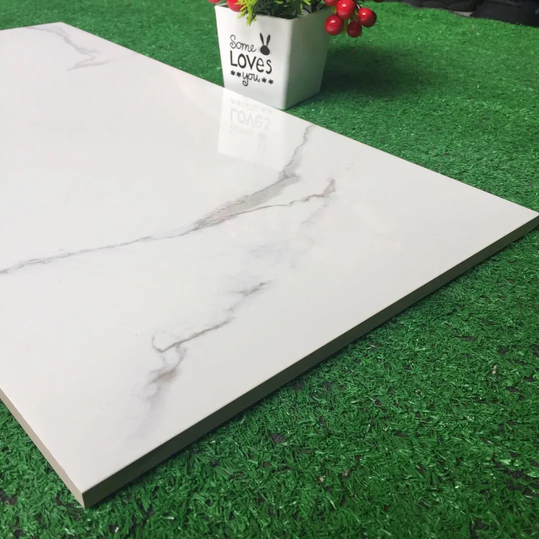 Buliding Material Ceramic Wall Tile 3D Inkjet Digital Printing (300*600mm)