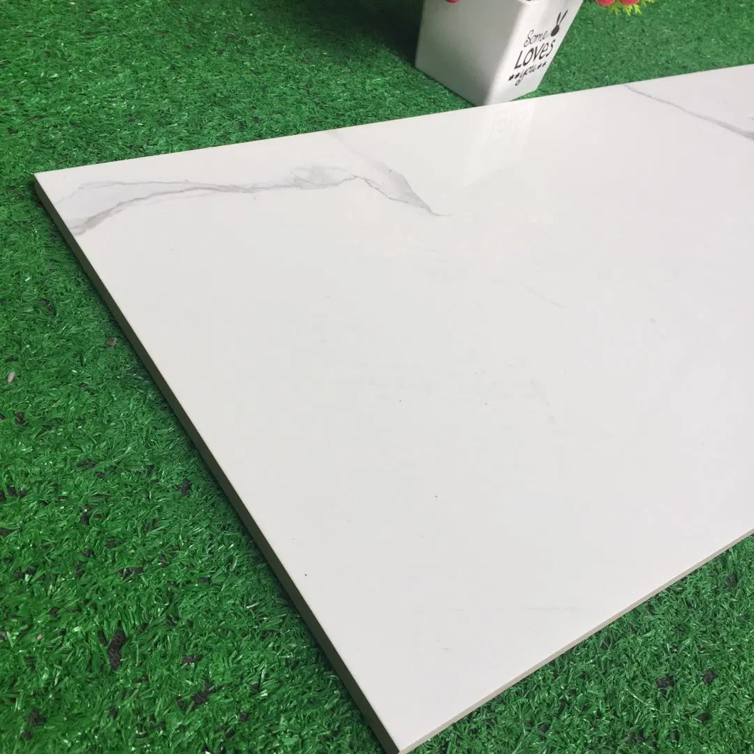 Buliding Material Ceramic Wall Tile 3D Inkjet Digital Printing (300*600mm)