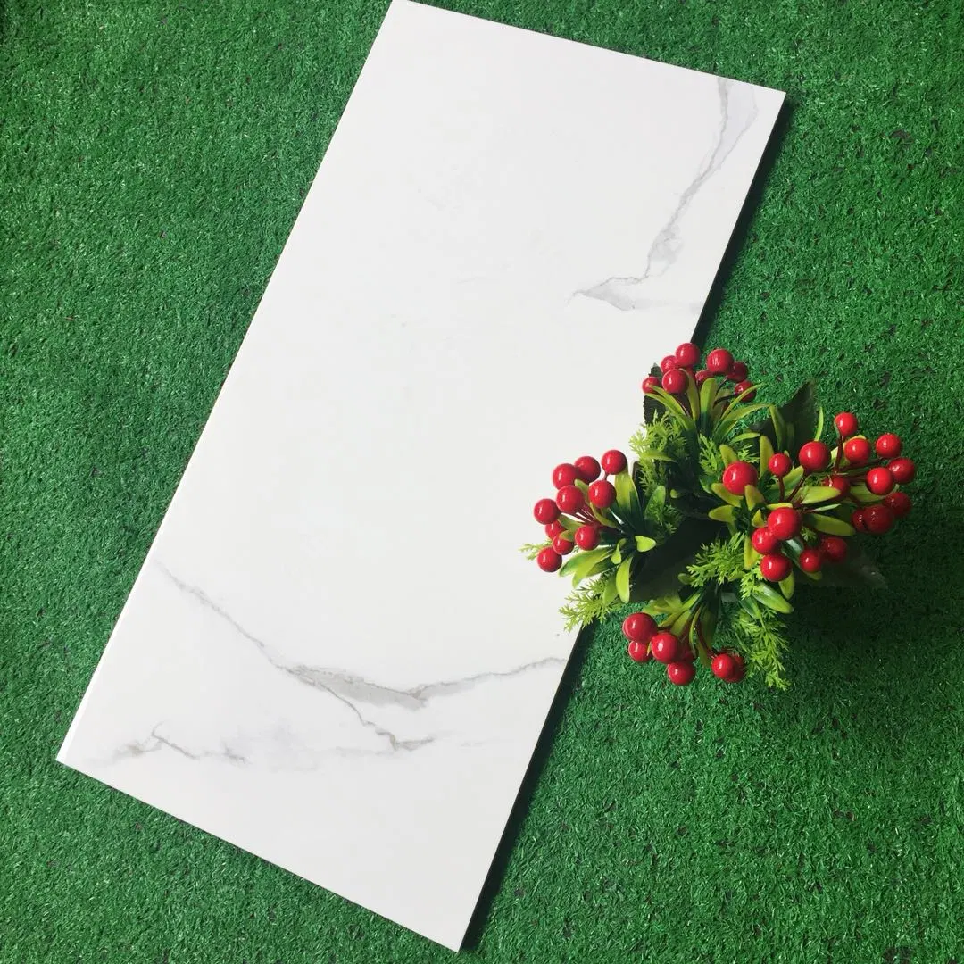 Buliding Material Ceramic Wall Tile 3D Inkjet Digital Printing (300*600mm)