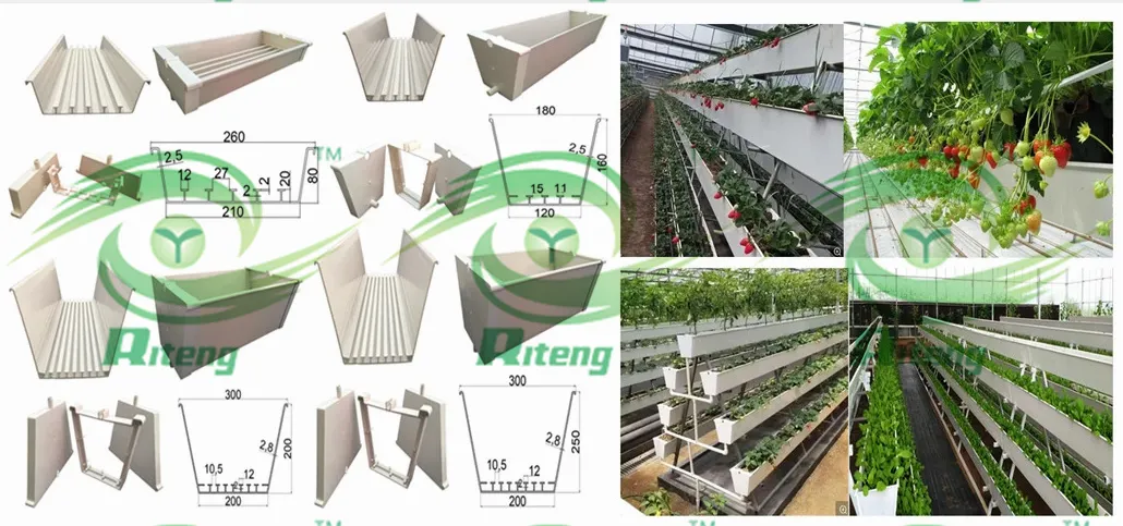 Hydroponics System Photo 7