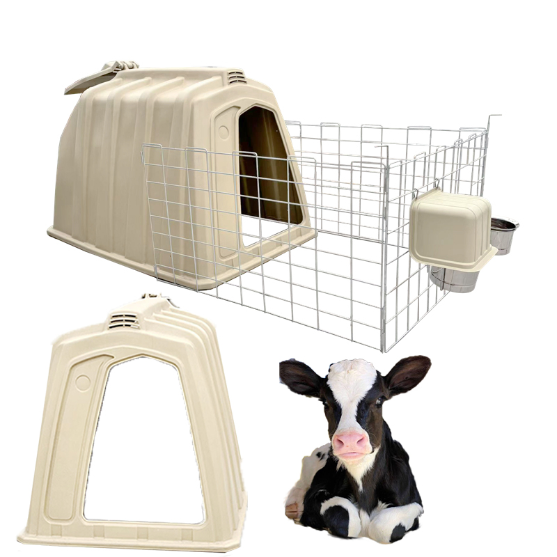 Calf Hutch System for Efficient Dairy Farm Management