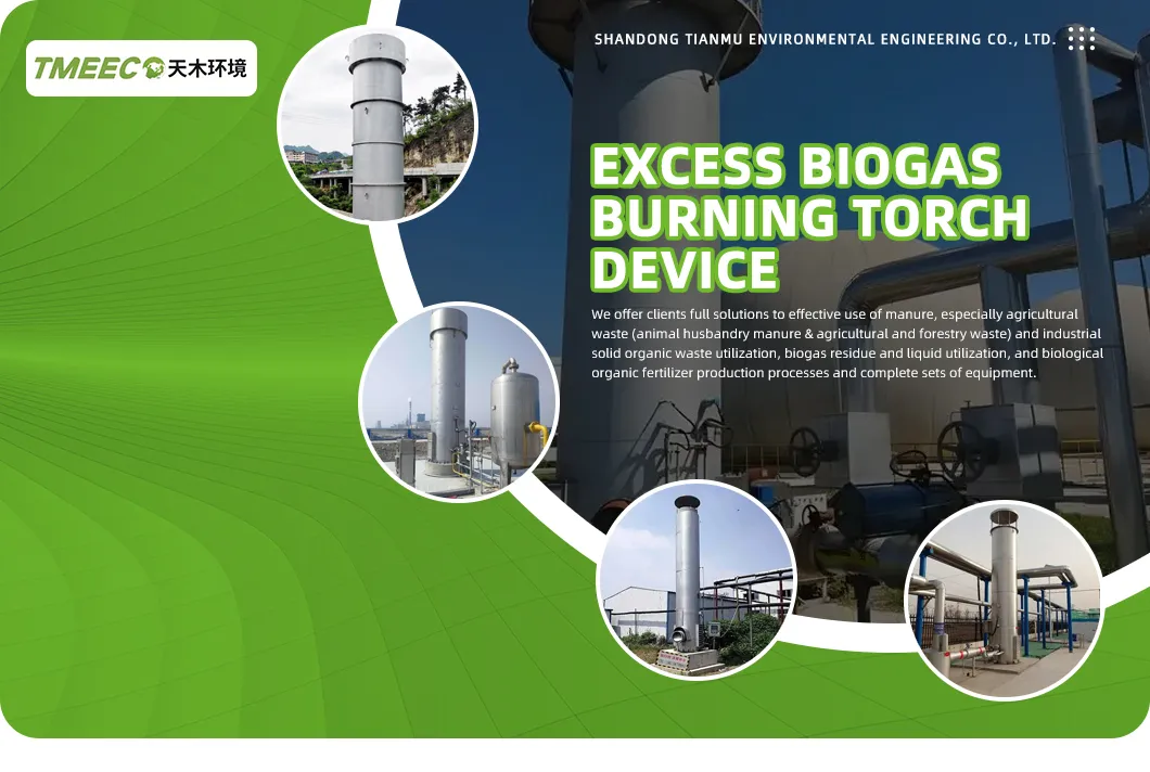 Biogas Flaring System