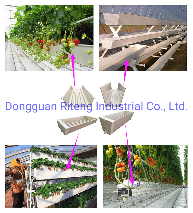 Composite Pipe &amp; Tube Nft Hydroponics Growing Systems for Vertical Farm