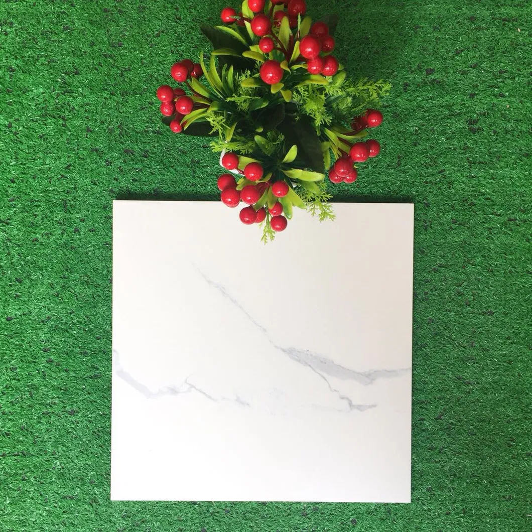 Ceramic Wall Tile DP361059