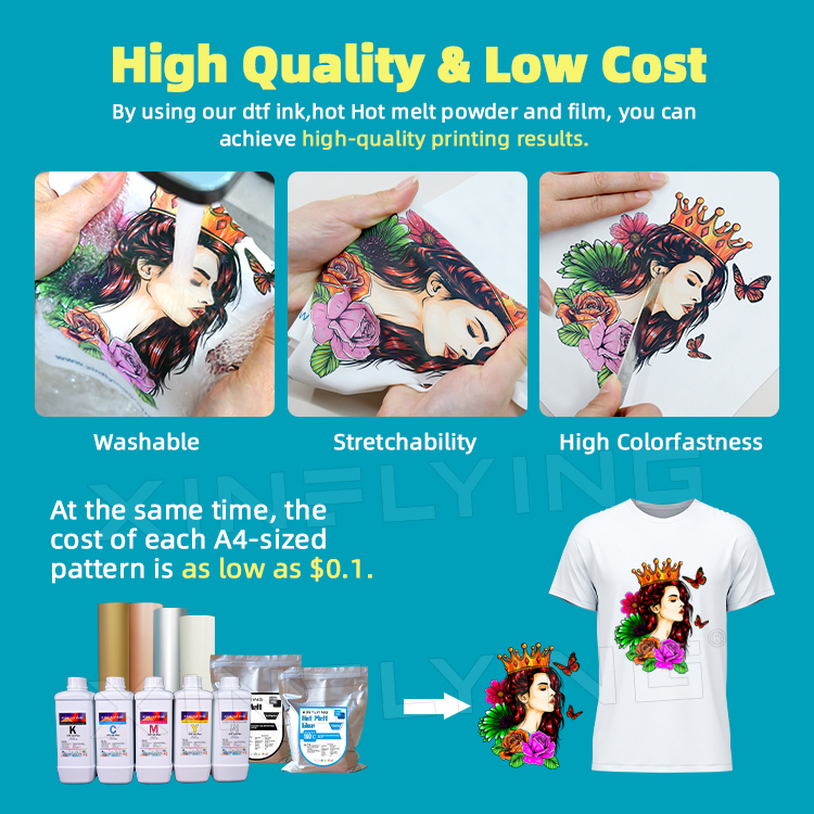 Technical Support 60cm 2head Dtf Printer Printing Machine with Shaker and Oven