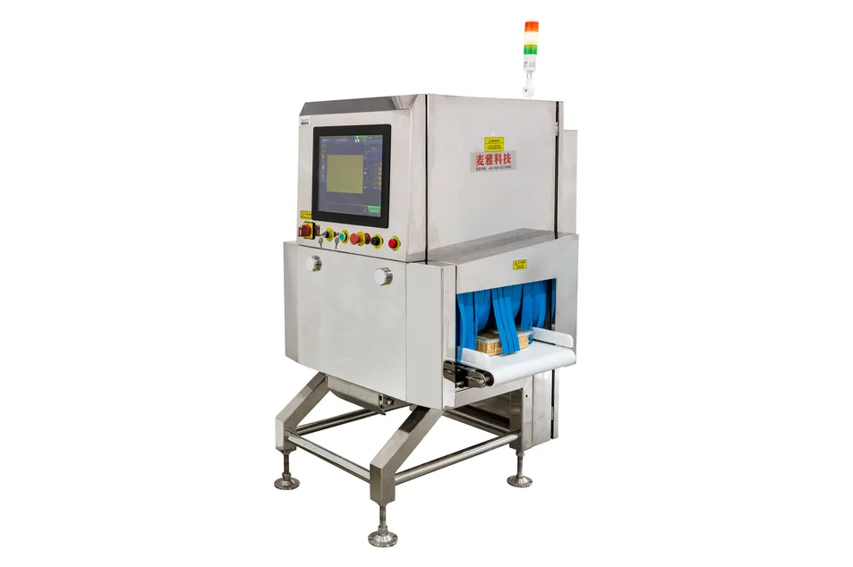 X-ray Detection View 2