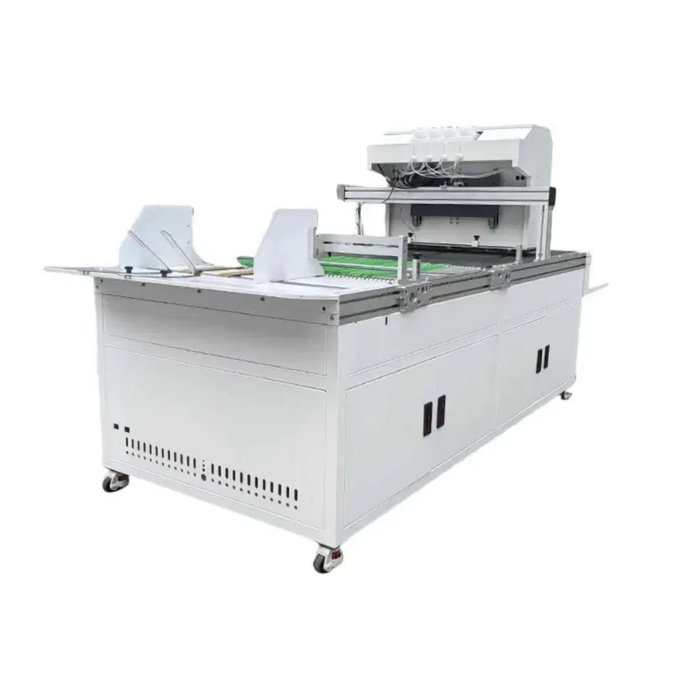 Single Pass Automatic Inkjet Printer Paper Feed Machine for Bag Cup Printing
