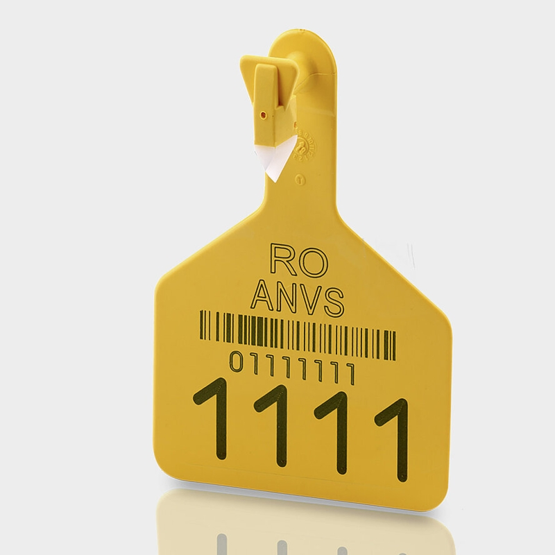 Precision Stone CNC 5W UV Laser Marking Machine Electronics Food Containers Desktop CE High Speed Fast OEM Coding Silicone Vinyl