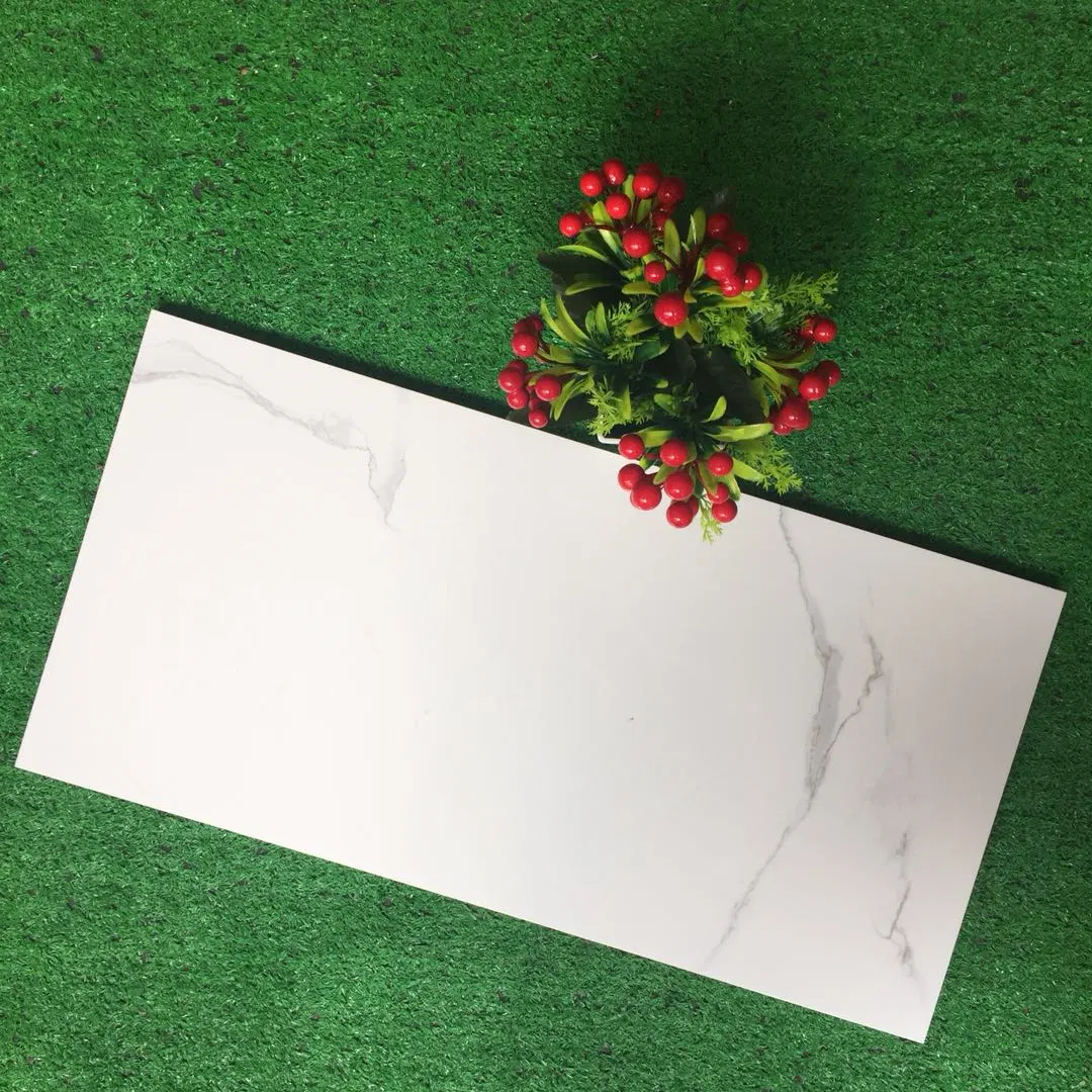 Buliding Material Ceramic Wall Tile 3D Inkjet Digital Printing (300*600mm)