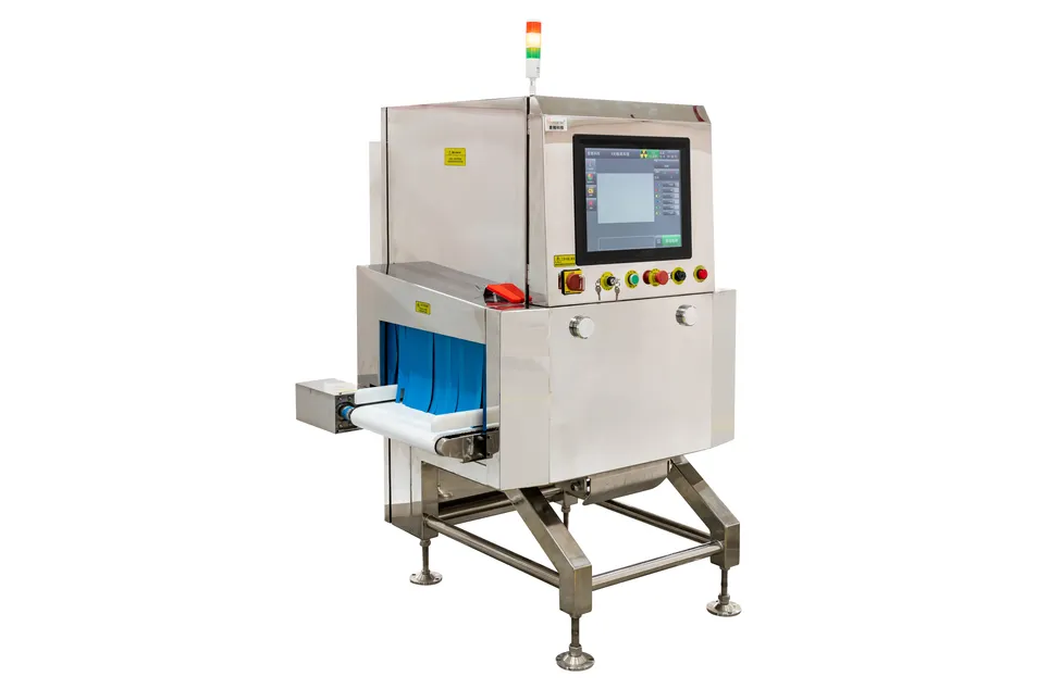 X-ray Detection View 1