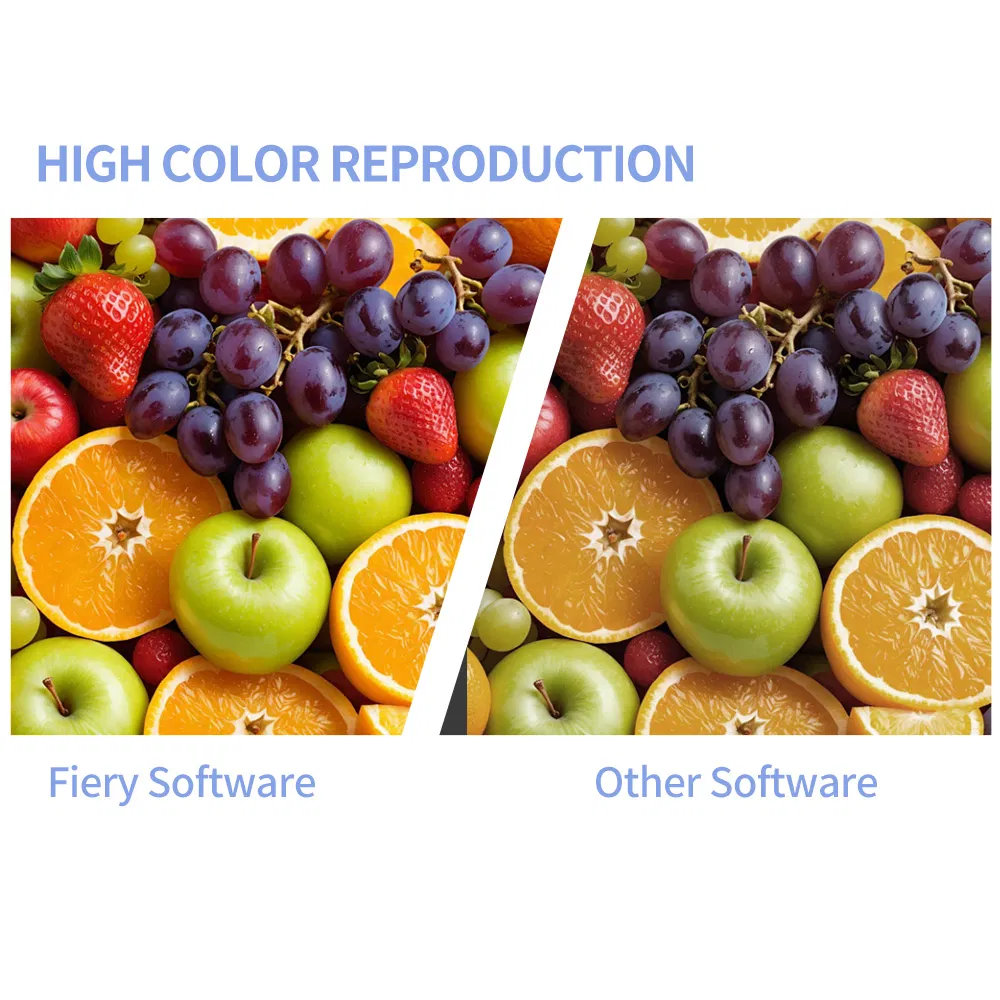 Sunika Leading Manufacturer Long Service Life Automatic 300mm Shaking Inkjet Printer Dtf Printing Machine with Oven for T Shirt Clothing